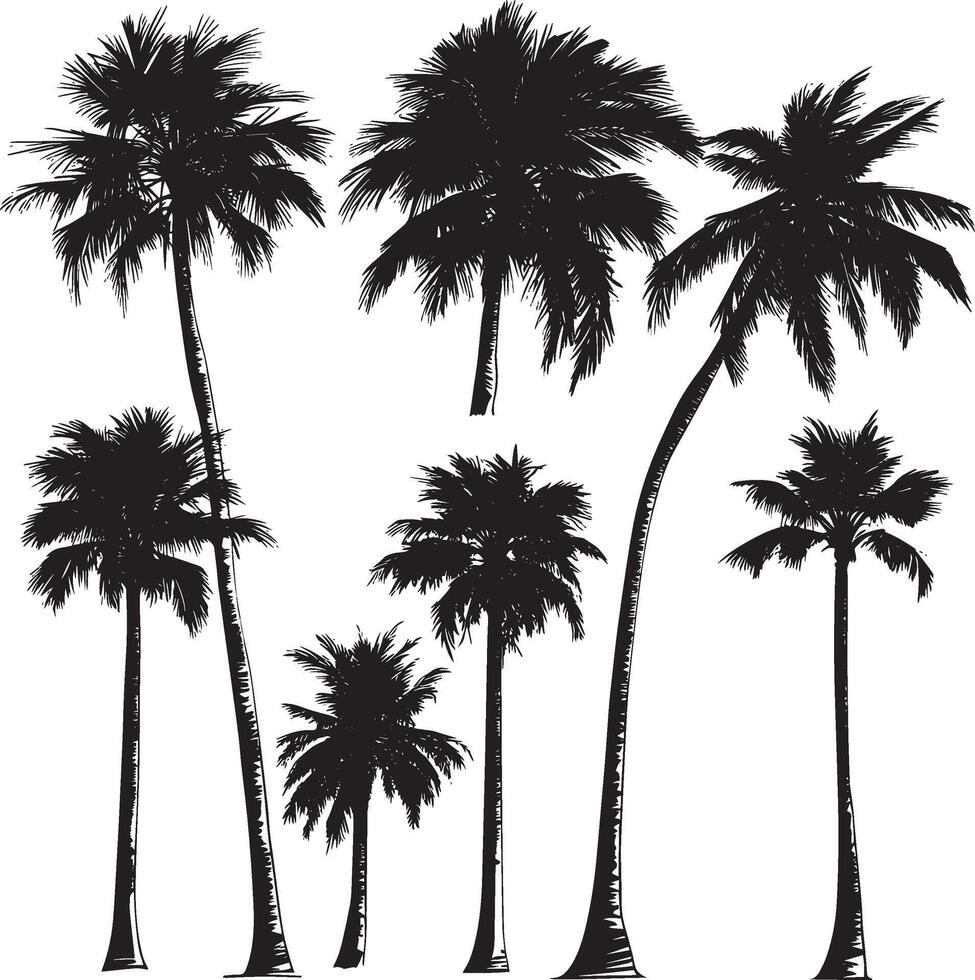 Palm Trees in a Grove Multiple palm trees closely packed, their trunks angled uniquely and adorned with sprawling fronds. Full-length silhouette black artwork. vector
