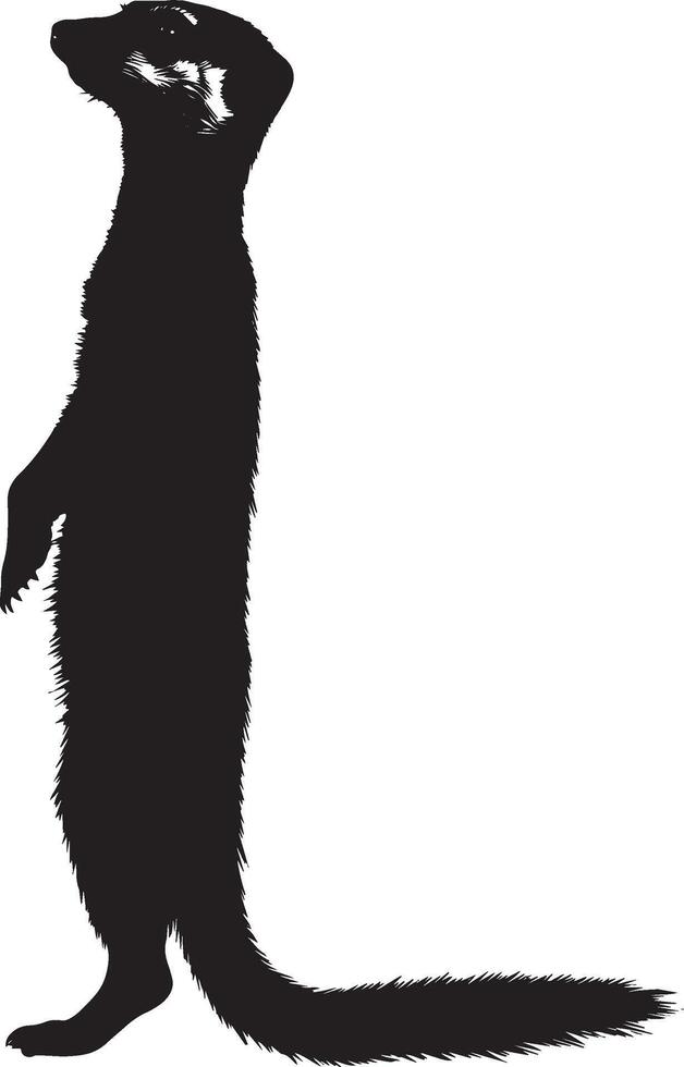 Meerkat on High Alert Body standing upright, front legs elevated, with its head turned toward a noise or possible threat. Full-length silhouette black design. vector