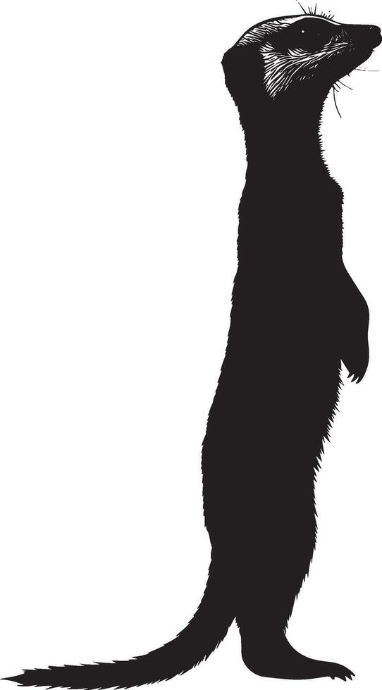 Meerkat Alert Body upright, front legs raised, with head turned toward a sound or potential danger. full length silhouette black illustration vector