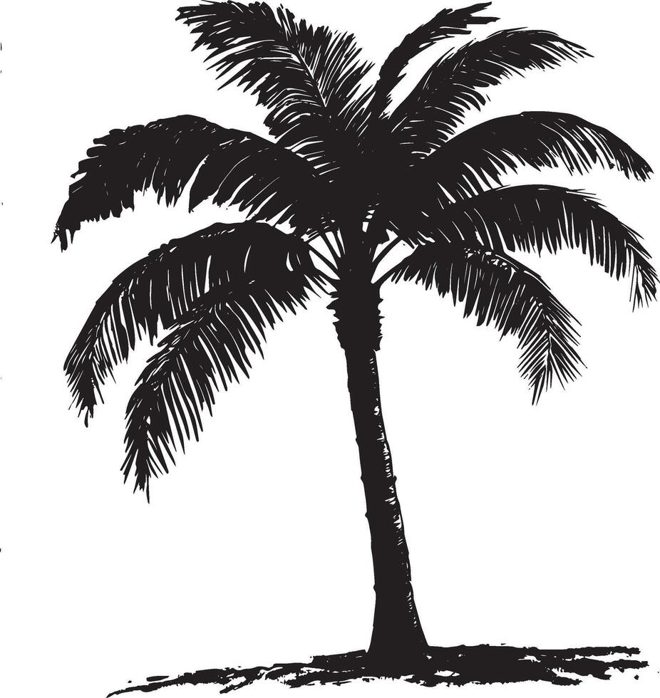 Palm Tree with Curved Trunk Trunk bending gracefully to one side, with fronds arching outward at the top. full length silhouette black illustration vector