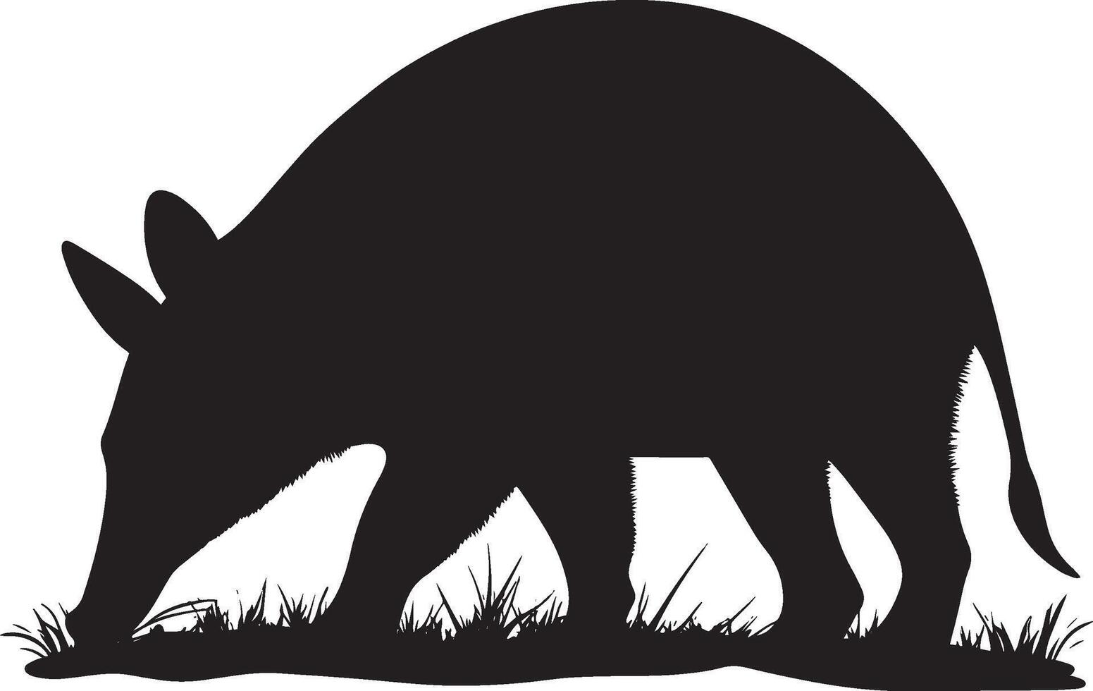 Aardvark Sniffing Body low to the ground, snout extended, sniffing the air or ground. full length silhouette black illustration vector