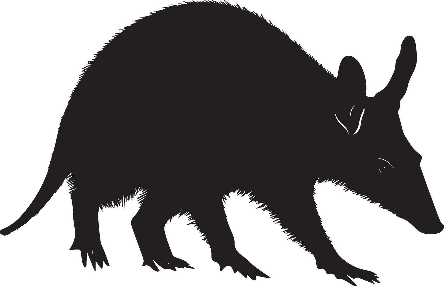 Aardvark Moving Along A silhouette of an aardvark with its body low to the ground, legs walking leisurely, and tail extending behind. Full-length silhouette black illustration. vector