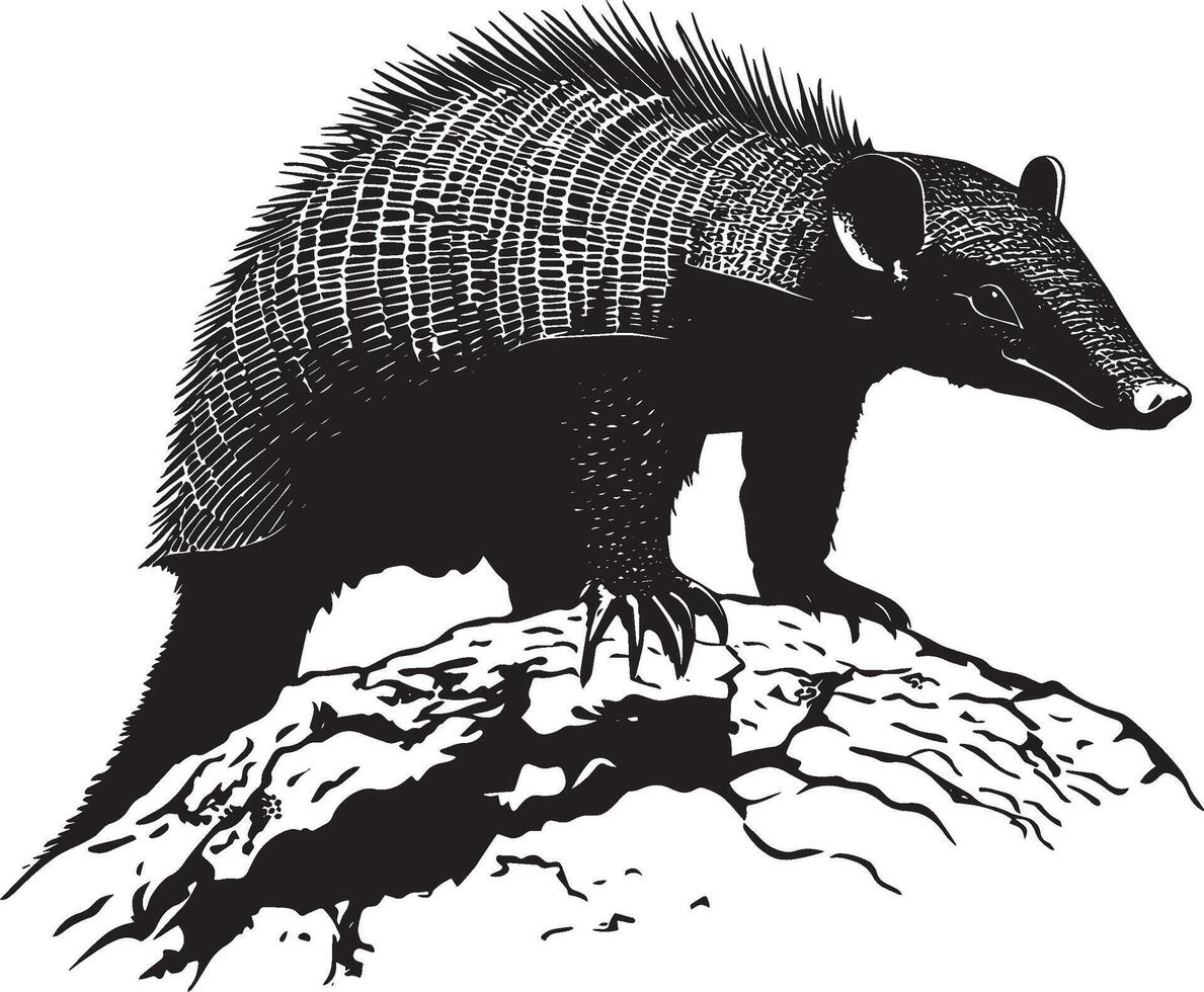 Armadillo in Climbing Position A silhouette of an armadillo with its body raised, vector