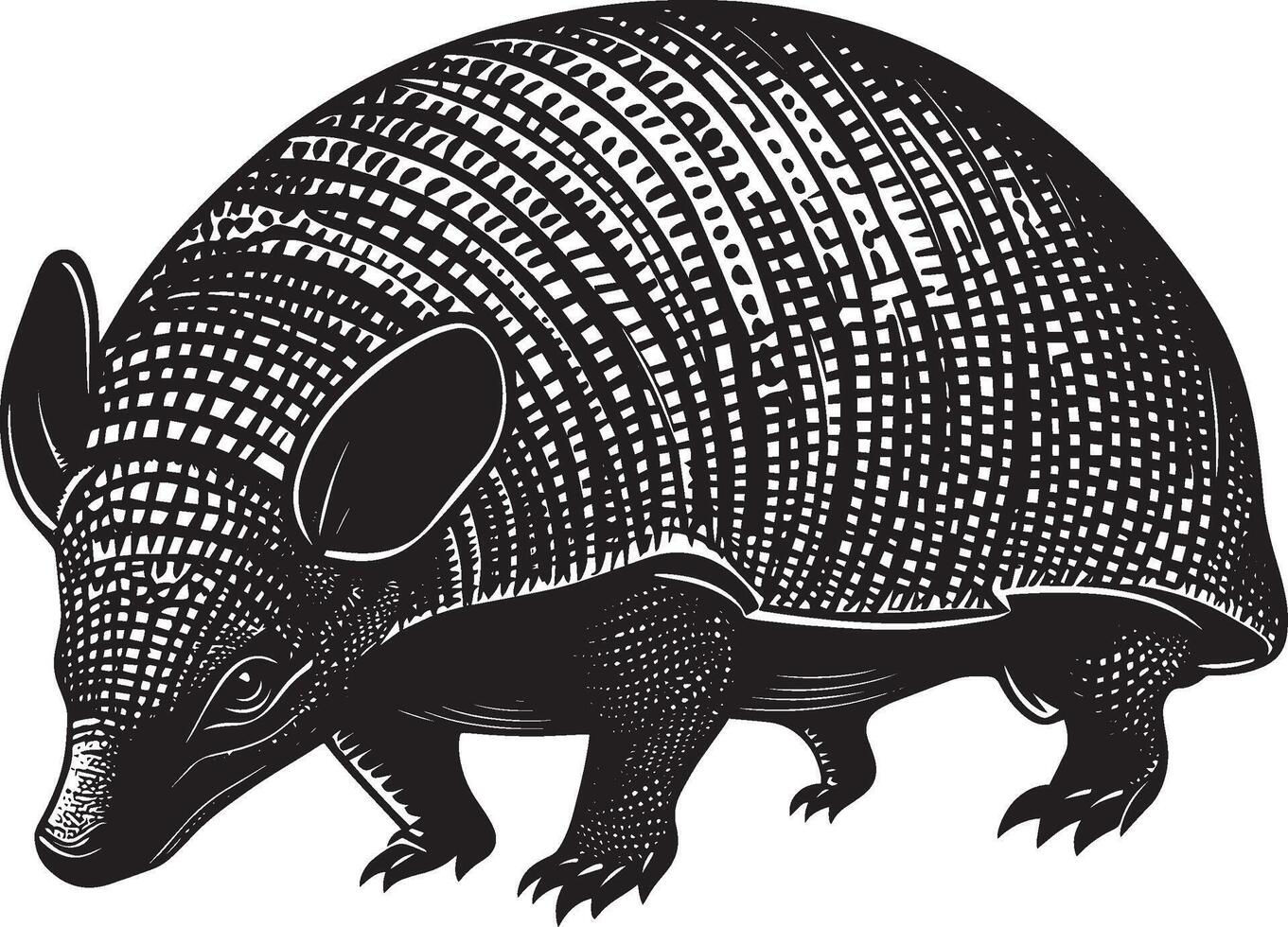 Armadillo in a Defensive Body rolled tightly into a ball, with its armored shell shielding the delicate underside. Full-length silhouette black design. vector