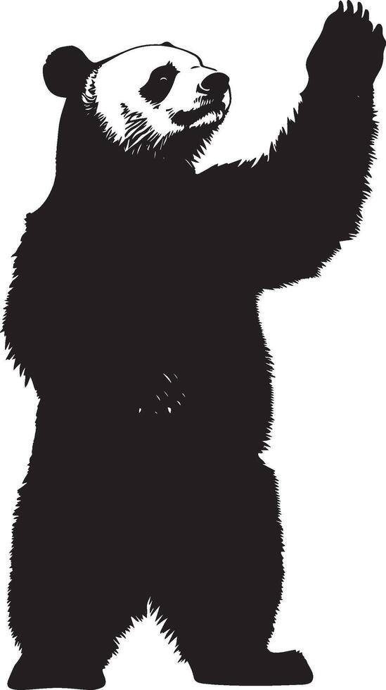 Panda Defending Body slightly raised with arms lifted, possibly in an alert or defensive posture. full length silhouette black illustration vector