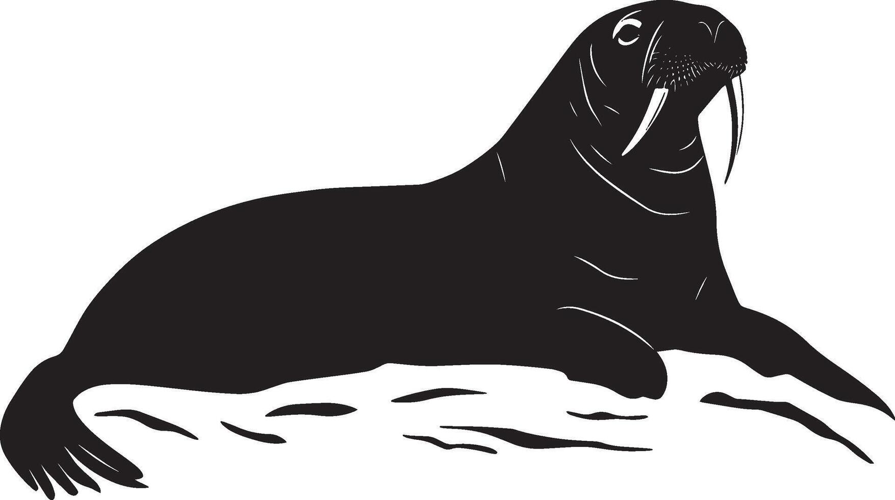 A silhouette of a walrus lying on a rock or ice, tusks visible, and flippers tucked in snugly. Full-length silhouette black illustration. vector