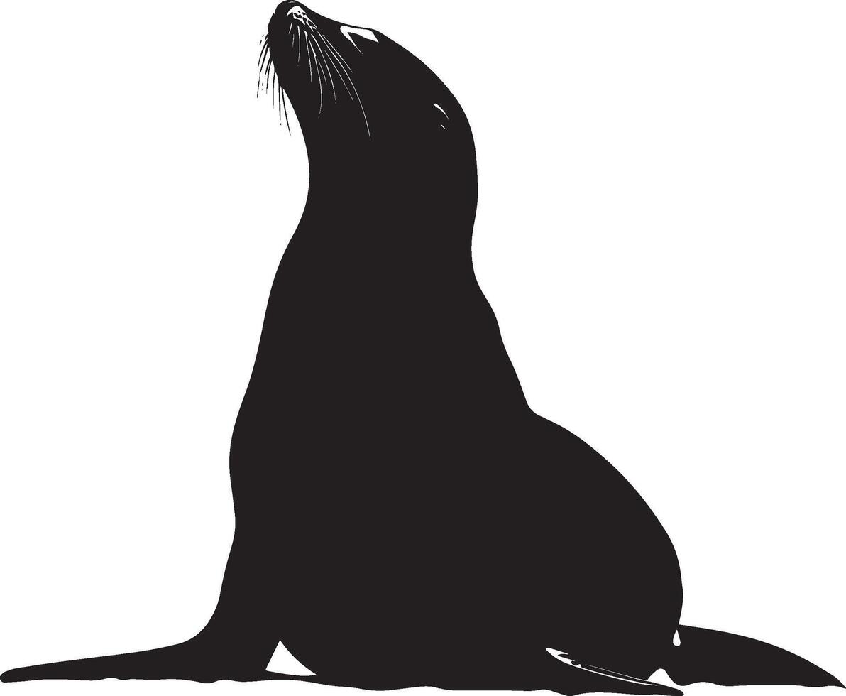Sea Lion Sunning Body relaxed, belly up, flippers spread out while basking on a sunny surface. full length silhouette black illustration vector
