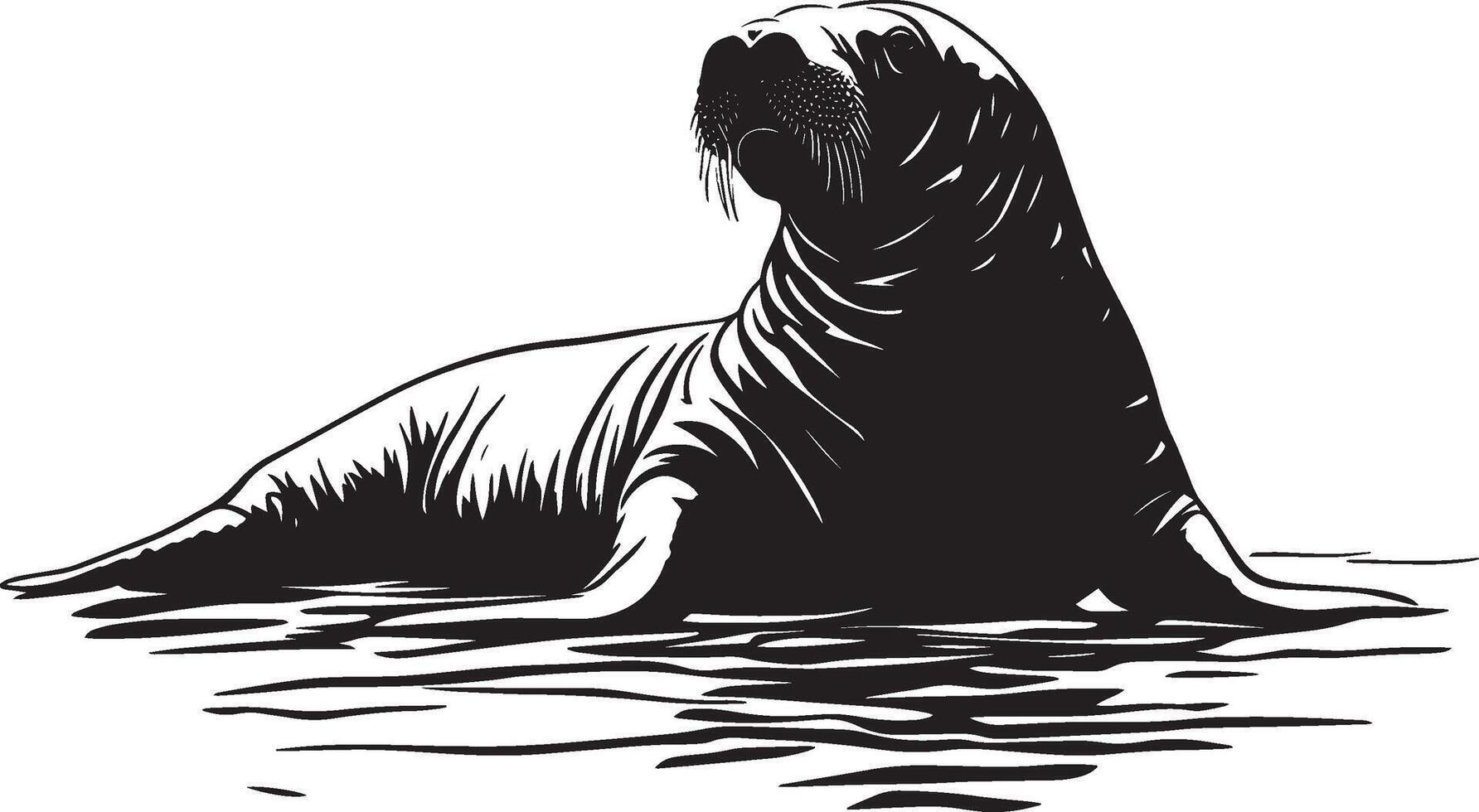 Walrus Basking Body lying on the shore with flippers spread out, soaking up sunlight. full length silhouette black illustration vector