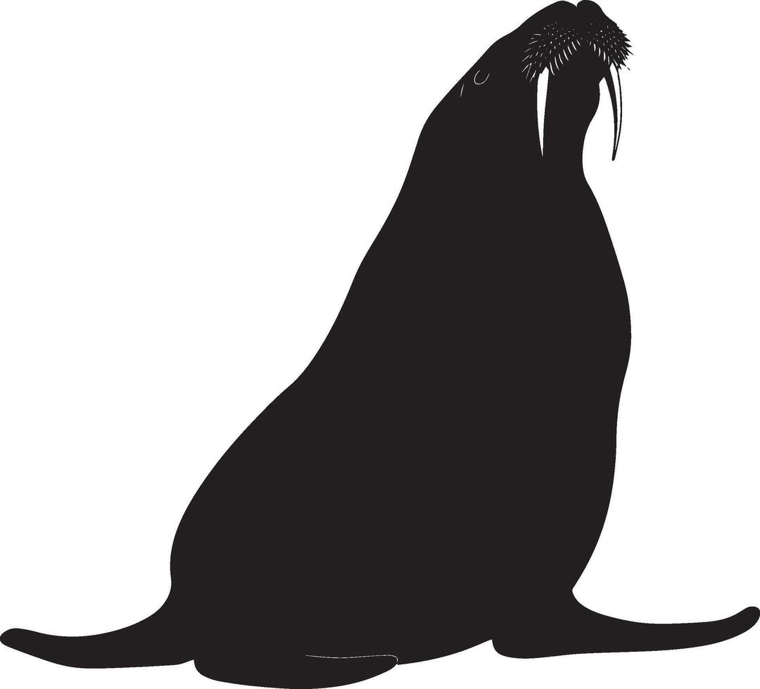 Walrus Defending Body upright with tusks visible and flippers extended in a defensive posture. full length silhouette black illustration vector