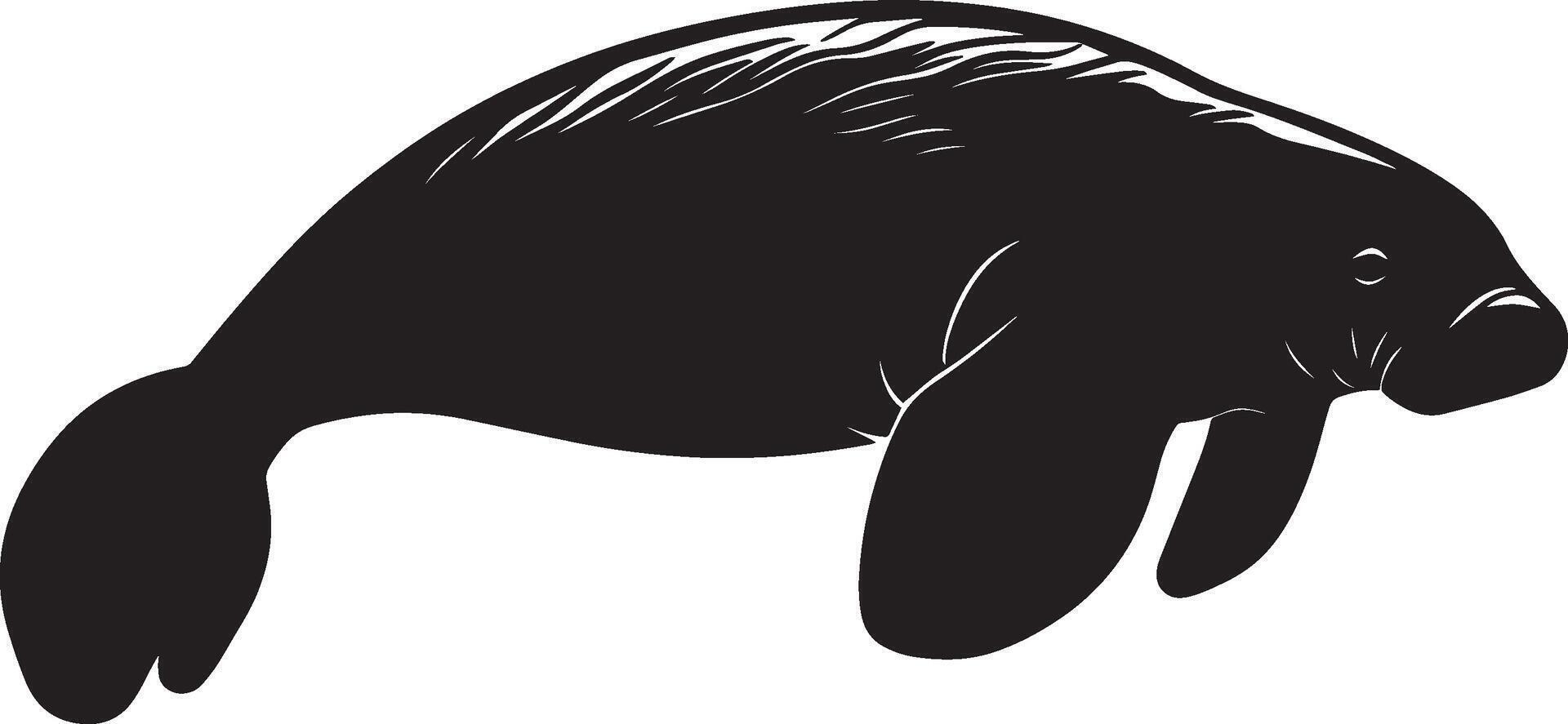 Manatee Rolling Body partially rolling, with tail and flippers extended during movement. full length silhouette black illustration vector