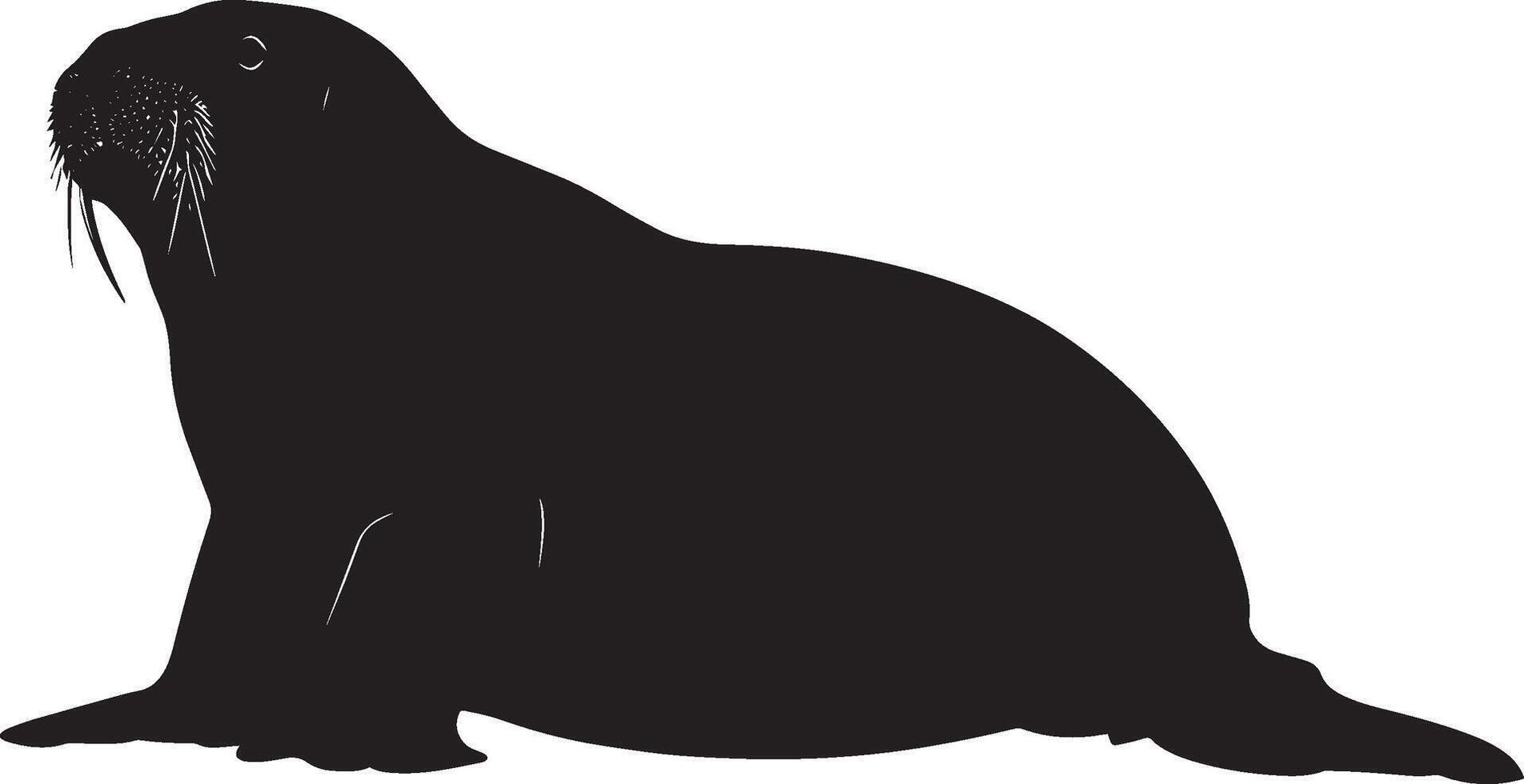 Walrus Crawling Body low to the ground with flippers moving in a slow, deliberate motion. full length silhouette black illustration vector