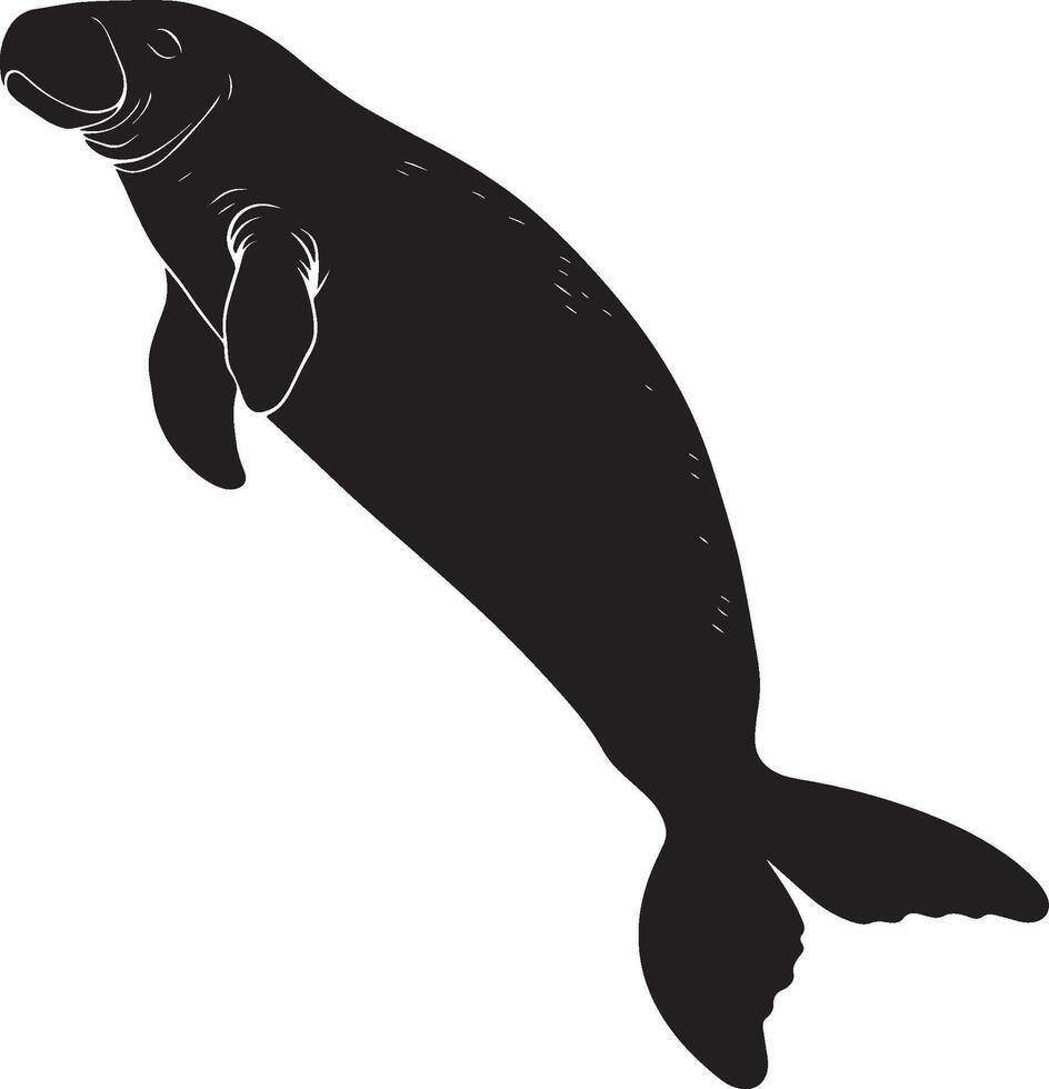 Manatee Swimming Body elongated with flippers extended, moving gracefully through the water. full length silhouette black illustration vector