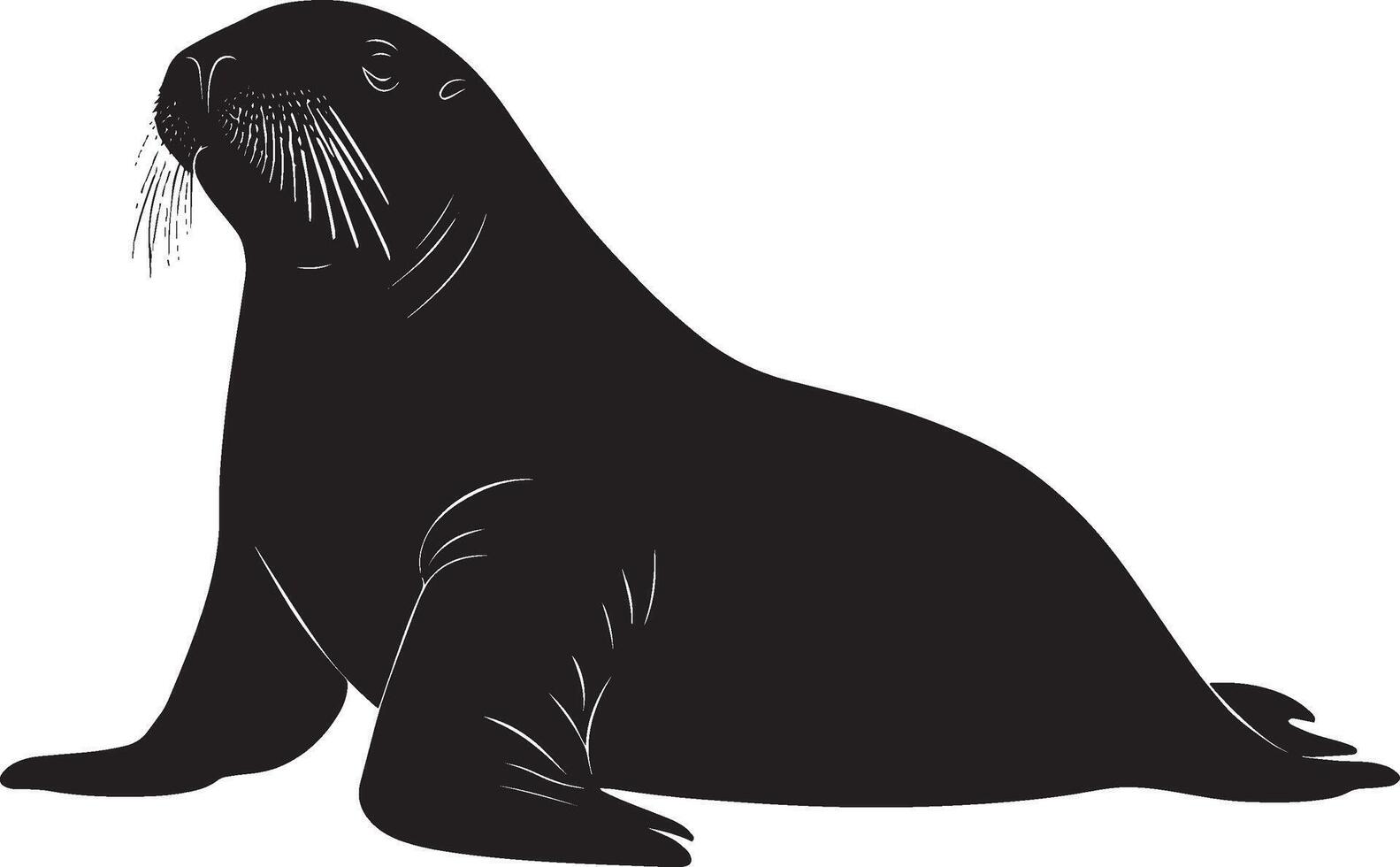 A silhouette of a walrus with its body low, flippers moving deliberately as it navigates its environment. Full-length silhouette black illustration. vector