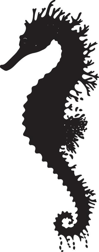 Seahorse Feeding Body angled forward with snout extended, capturing food in a steady motion. full length silhouette black illustration vector