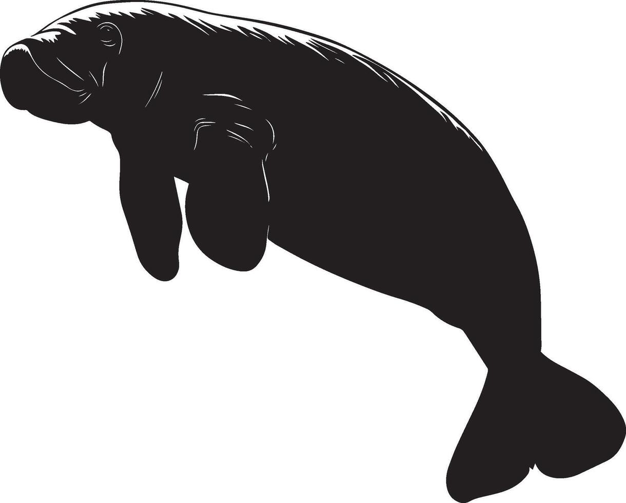 Manatee Floating Body horizontal with flippers relaxed and tail gently propelling through the water. full length silhouette black illustration vector