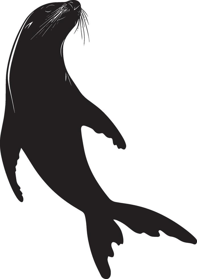 Sea Lion Pursuing Prey Body sleek and streamlined, head underwater as it uses its flippers to chase after fish or other targets. Full-length silhouette black design. vector