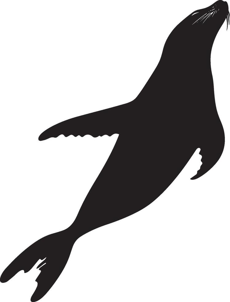 Sea Lion Plunging Underwater A silhouette of a sea lion with its body tilted downward and flippers outstretched as it dives into the depths. Full-length silhouette black illustration. vector