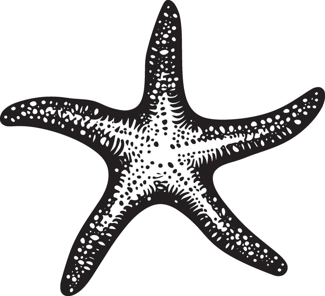 Starfish Crawling Body low with arms extended, moving slowly along the ocean floor. full length silhouette black illustration vector