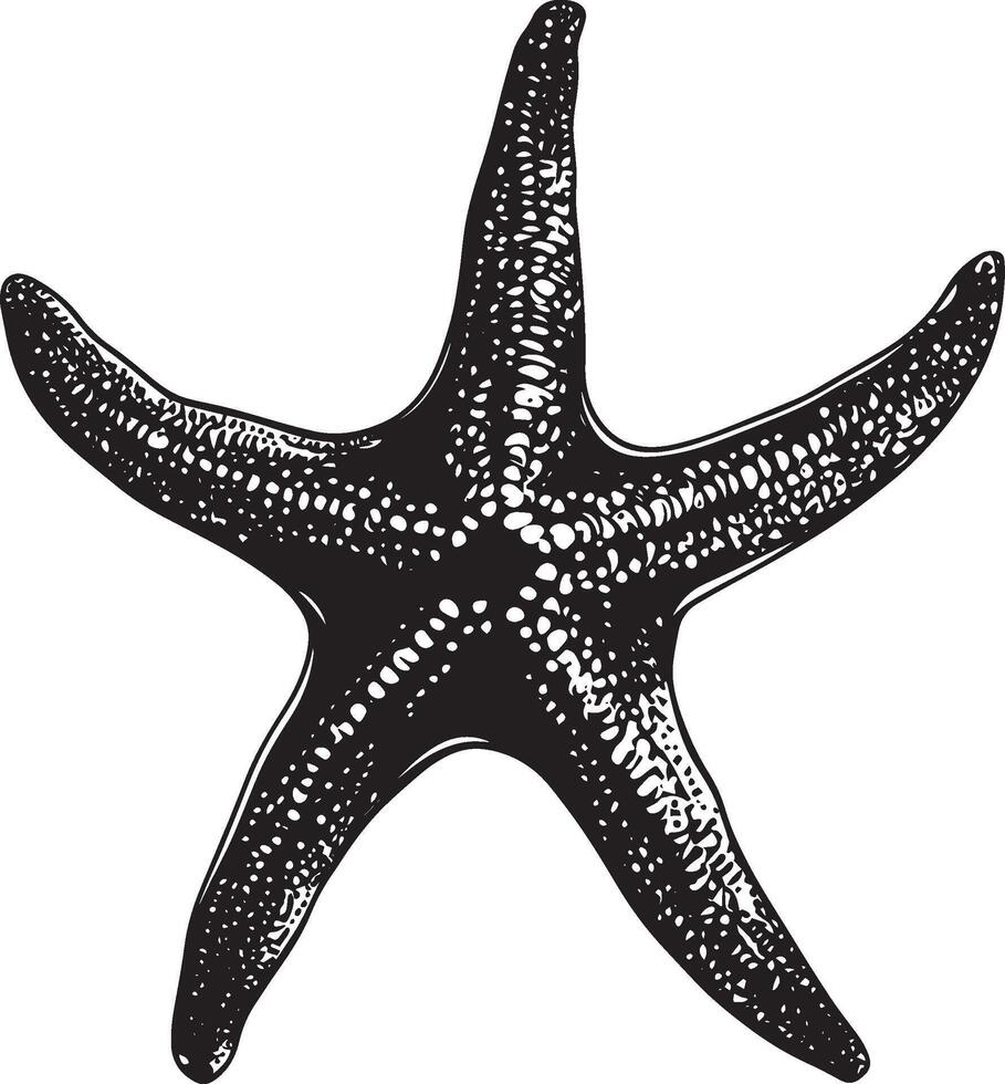 Starfish in Defense Mode Body tense with arms extended wide, increasing its size to ward off potential predators. Full-length silhouette black design. vector