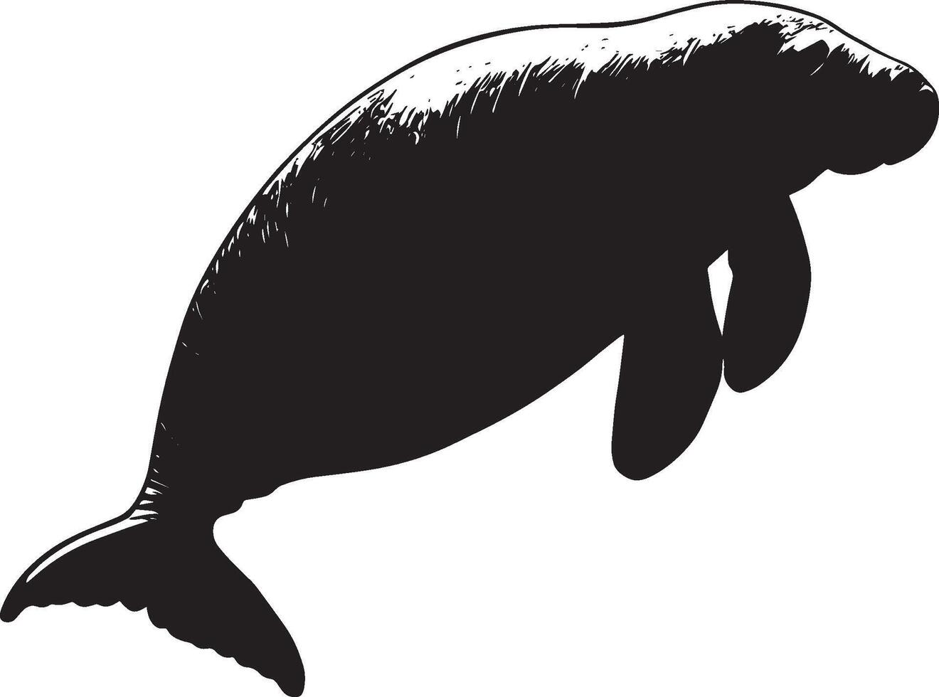 Manatee Floating Peacefully Body at rest, flippers extended as it gently drifts along the water's surface. Full-length silhouette black design. vector