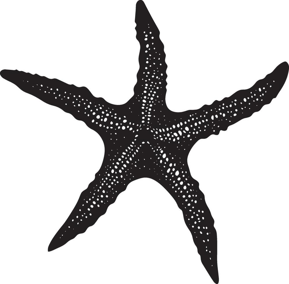 Starfish Defending Body tense with arms spread wide, creating a larger profile to deter predators. full length silhouette black illustration vector