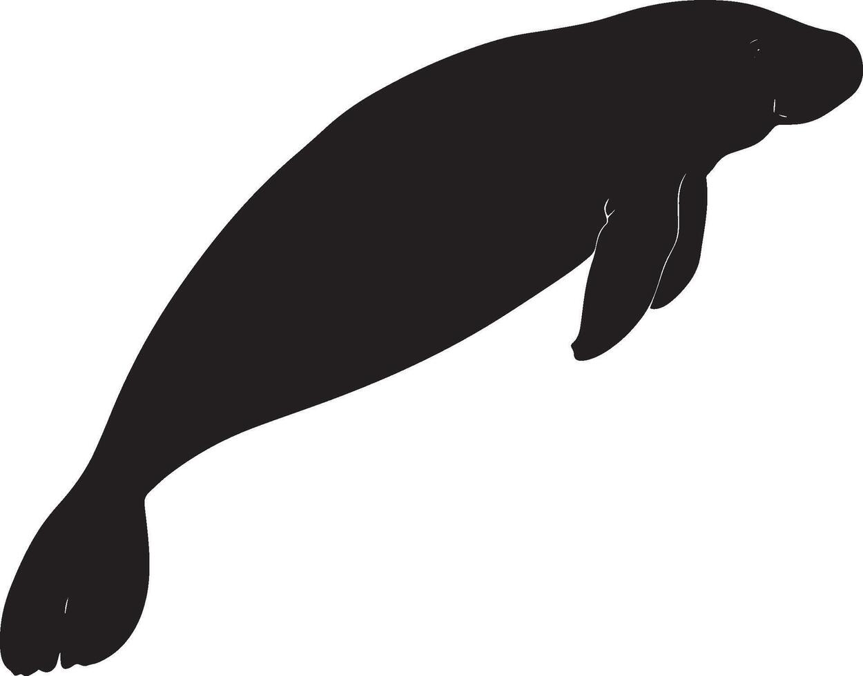 Manatee Observing Its Surroundings Body at rest with flippers extended outward, actively sensing the environment around it. Full-length silhouette black design. vector