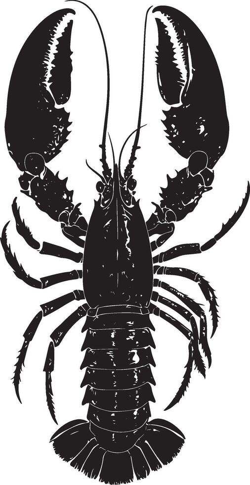 Lobster Molting Body arched, legs spread as it sheds its exoskeleton. full length silhouette black illustration vector