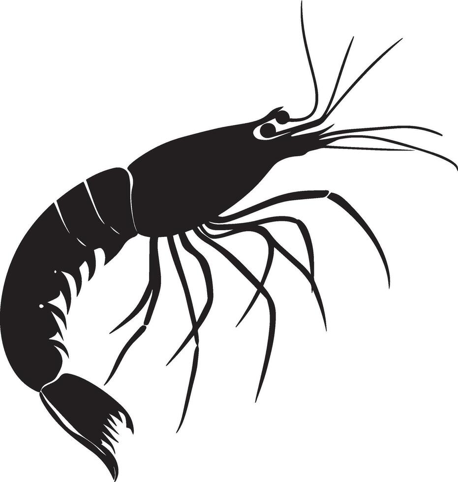 Shrimp Progressing Along A silhouette of a shrimp with its body in motion and legs outstretched, steadily walking. Full-length silhouette black illustration. vector