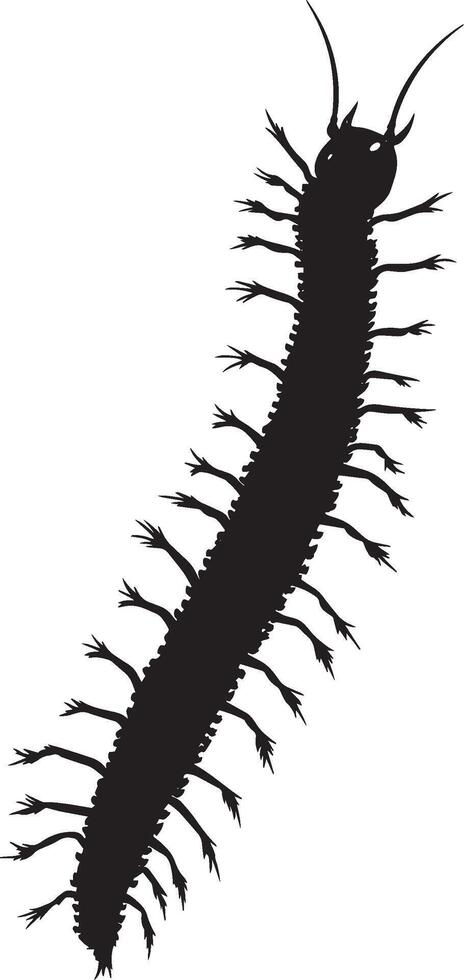 Centipede Ascending a Surface Body angled upward with legs firmly gripping a vertical surface, moving gradually. Full-length silhouette black design. vector