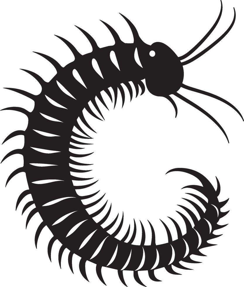 Centipede Curled Body coiled in a spiral shape with legs bent inward for protection. full length silhouette black illustration vector