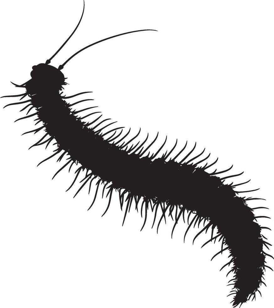 Millipede Sensing Body still with antennae extended forward, sensing its environment. full length silhouette black illustration vector
