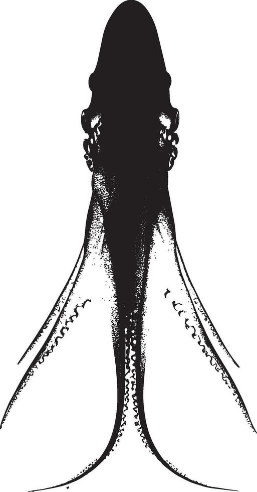 Squid Camouflaging Body blending into the environment, with tentacles and fins extended in a natural position. full length silhouette black illustration vector