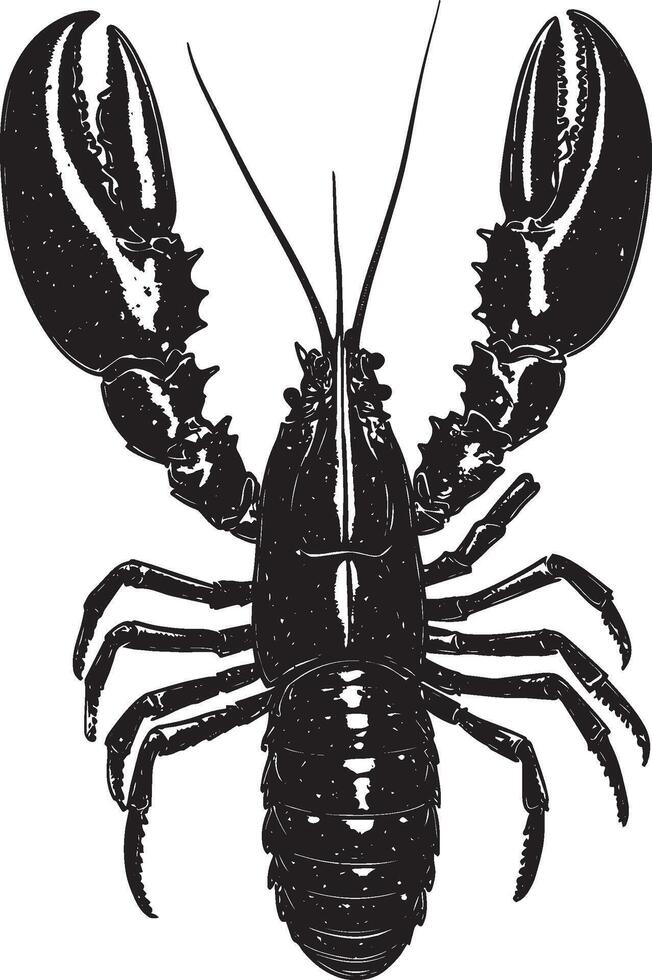 Lobster in the Molting Process Body arched with legs extended as it sheds its exoskeleton. Full-length silhouette black design. vector