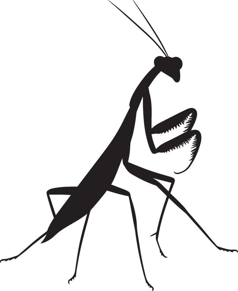 Praying Mantis Reaching Body stretched forward with forelegs extended, antennae following the movement. full length silhouette black illustration vector