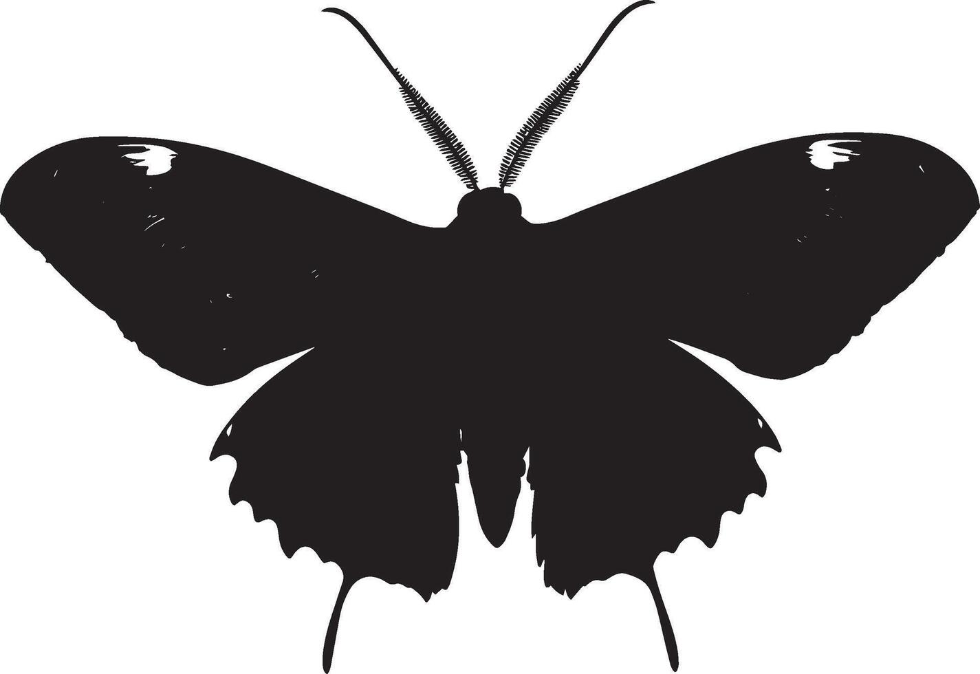 Moth Feeding Body angled forward with long proboscis extended into a flower or food source, wings slightly open. full length silhouette black illustration vector