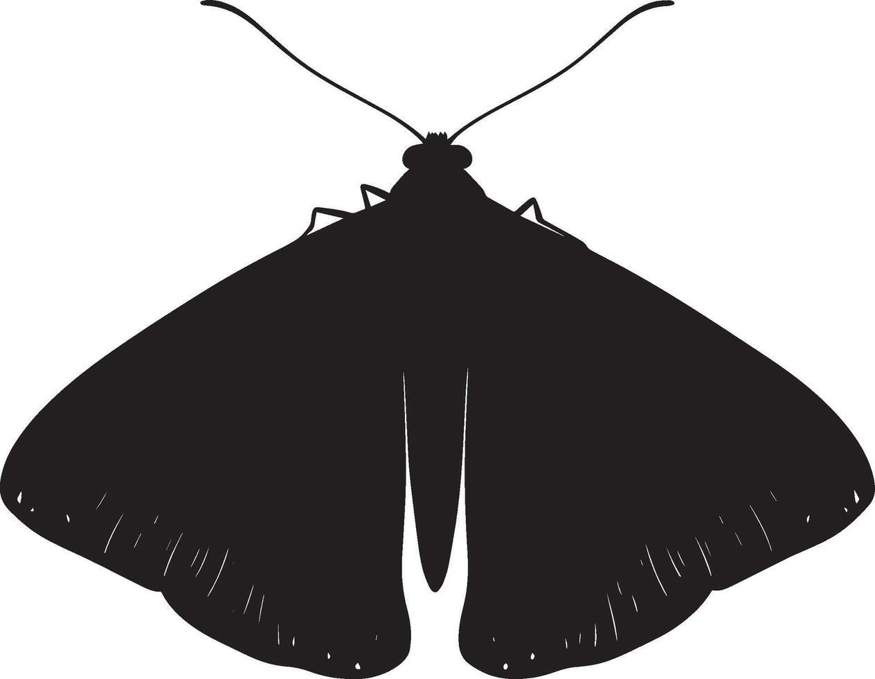 Moth Resting Body still on a surface or plant with wings folded in a relaxed position, legs tucked underneath. full length silhouette black illustration vector