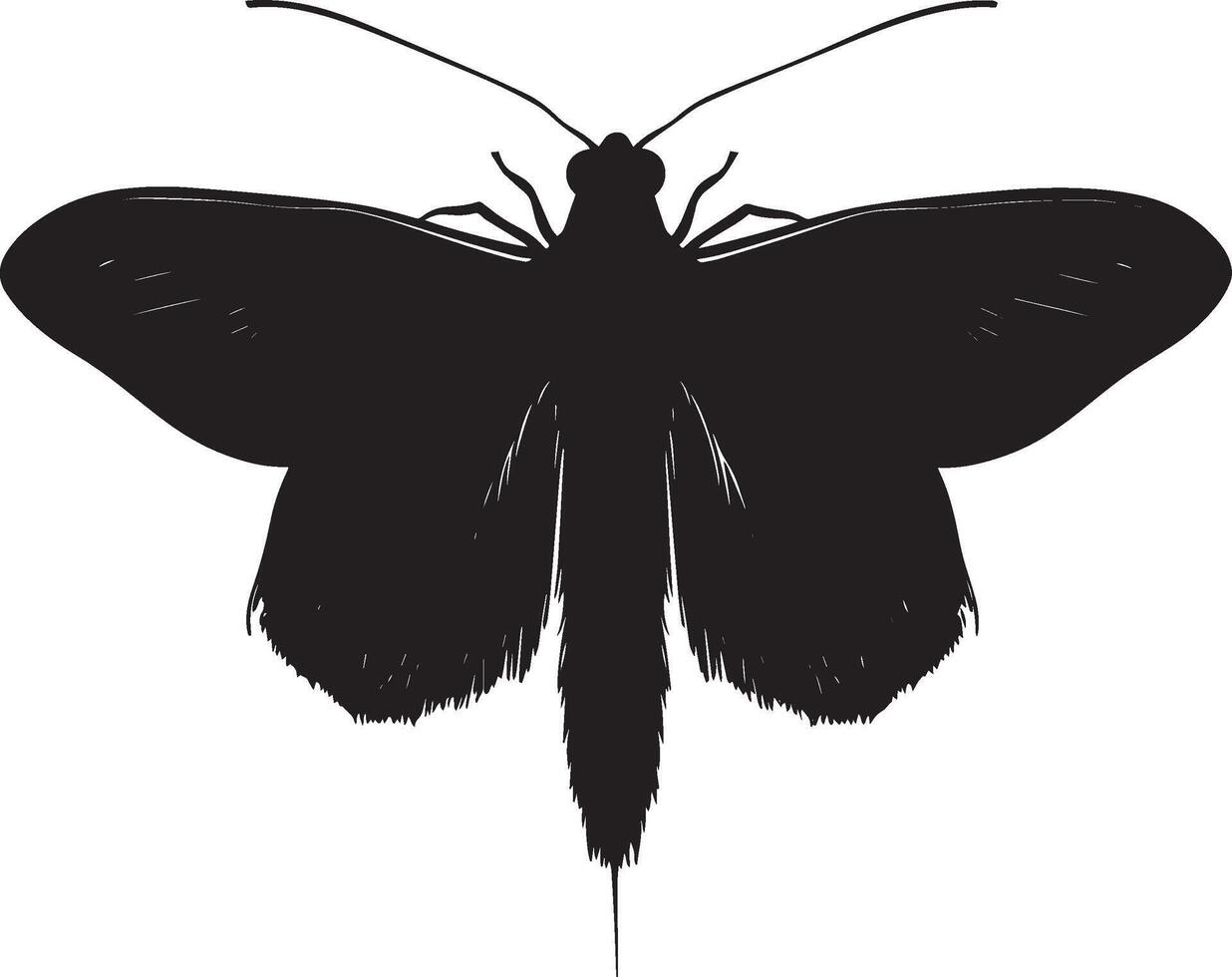 Moth at Rest While Sensing A silhouette showing a moth with its body calm, antennae extended to detect surroundings, and wings folded. Full-length silhouette black artwork. vector