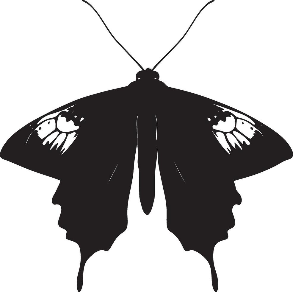 Moth in a Sensing Position Body stationary with antennae extended, actively sensing the environment while wings are folded. Full-length silhouette black design. vector