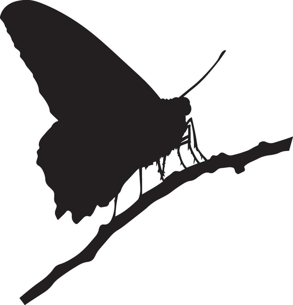 Moth Perched Body sitting on a branch or surface with wings closed, legs gripping the surface. full length silhouette black illustration vector