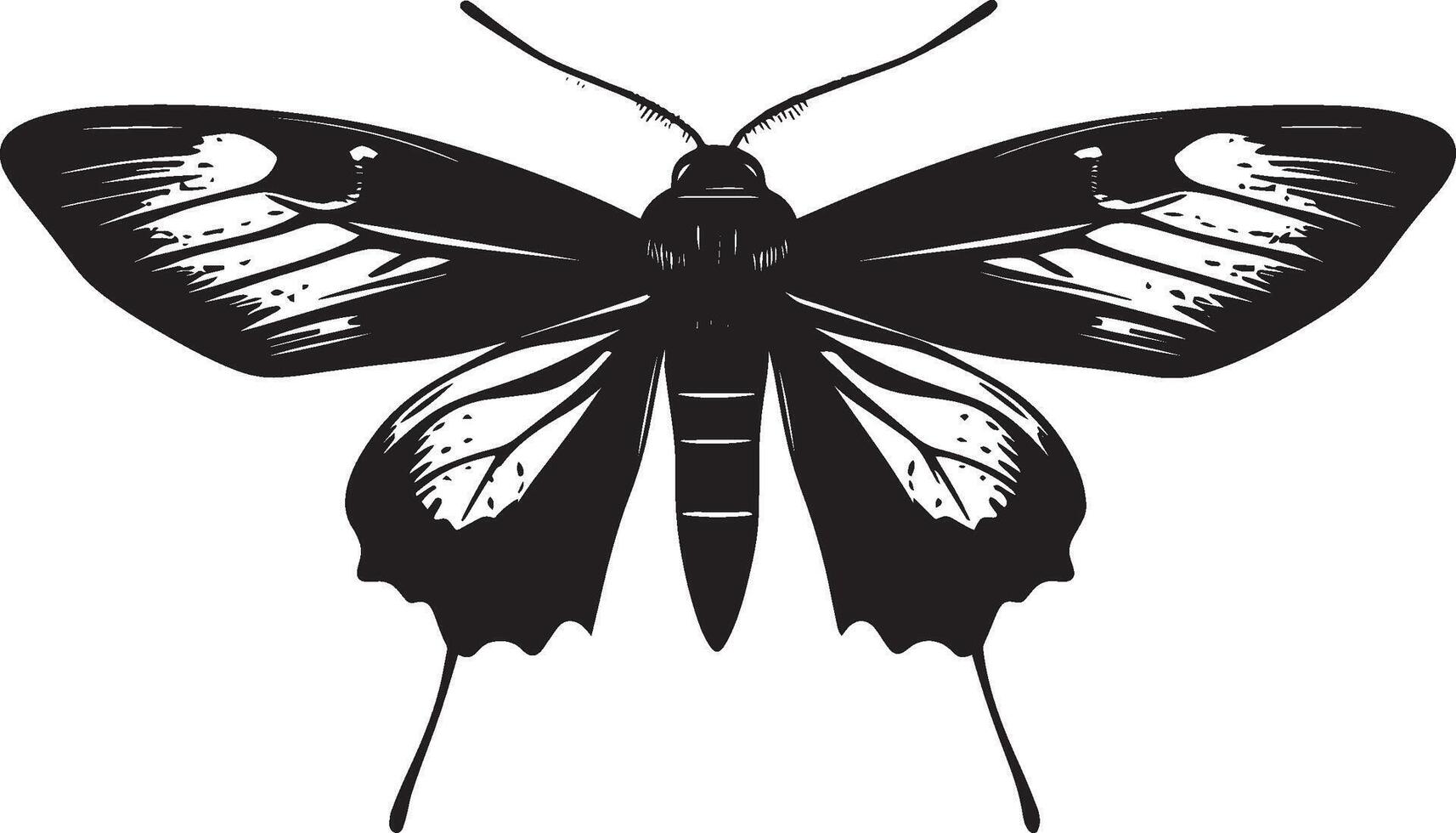 Moth Progressing on the Ground A silhouette showing a moth with its body positioned low, legs extended, and moving in a slow, methodical pattern. Full-length silhouette black artwork. vector