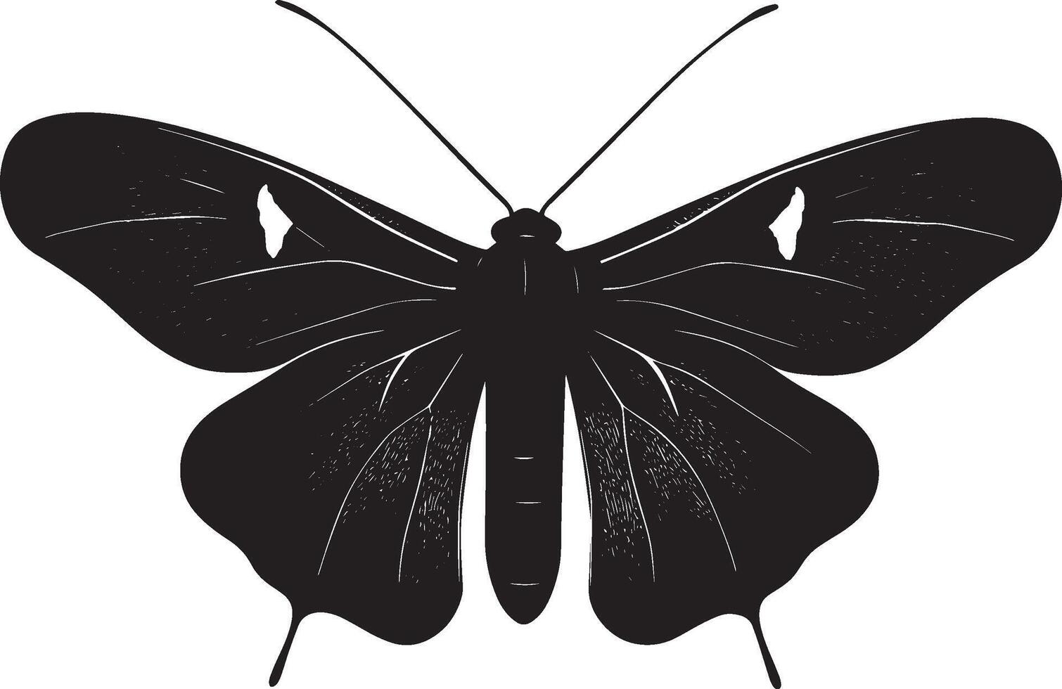 Moth Resting with Spread Wings A silhouette of a moth with its wings opened gently, body relaxed on a surface and legs tucked beneath. Full-length silhouette black illustration. vector