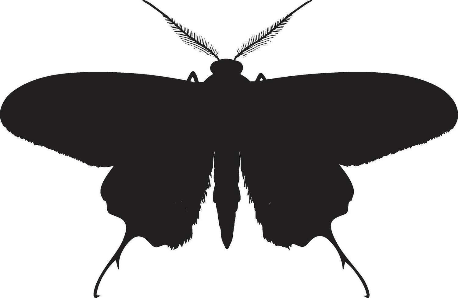 Moth at Rest with Wings Extended Wings slightly open, body resting on a surface with legs folded underneath. Full-length silhouette black design. vector