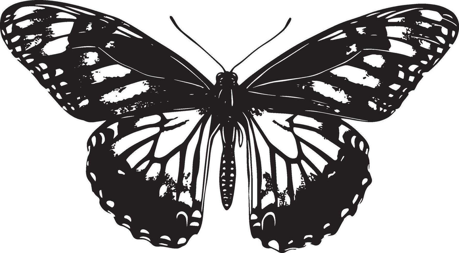 Butterfly Resting with Wings Open Wings spread wide, body sitting flat against a surface, antennae raised. full length silhouette black illustration vector