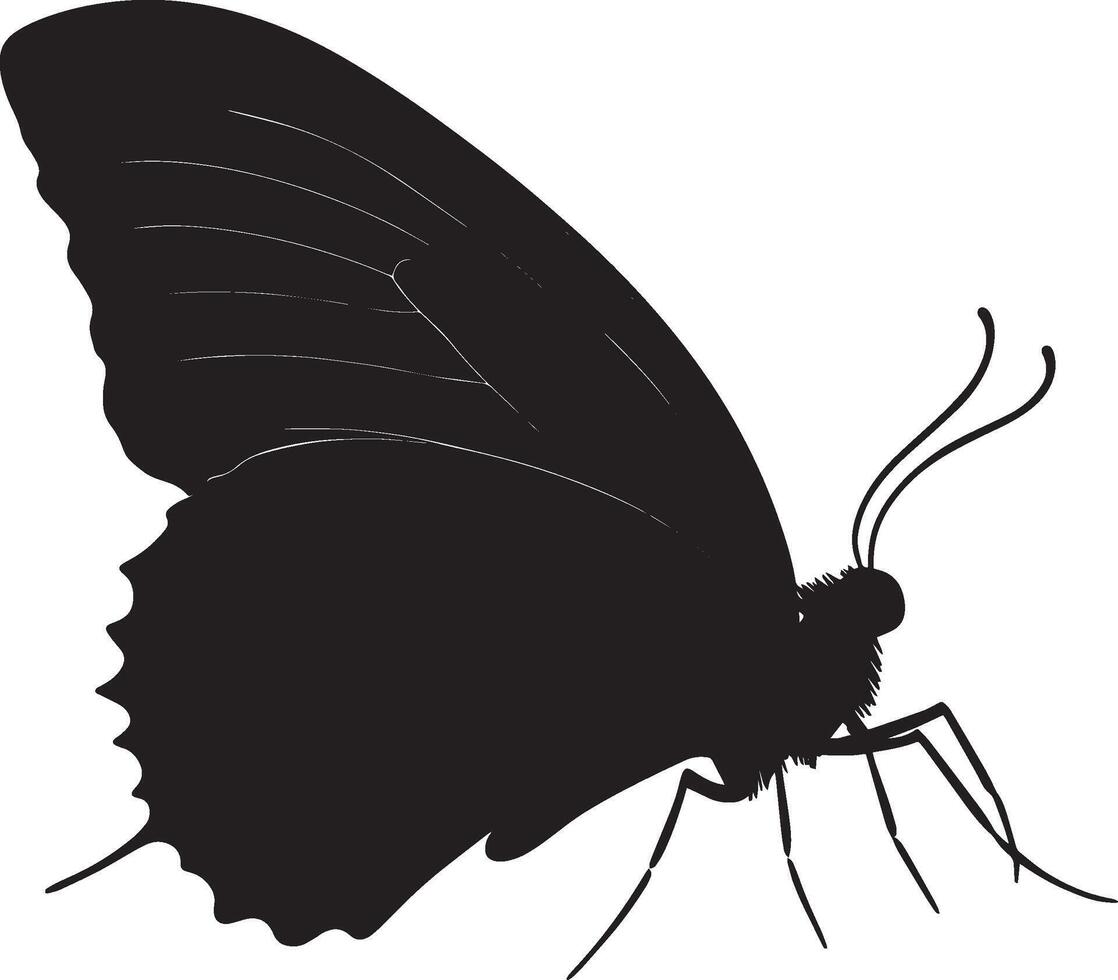 Crawling Butterfly The black silhouette of a butterfly moving along a surface, legs extended and wings securely tucked against its body, illustrated in full length. vector