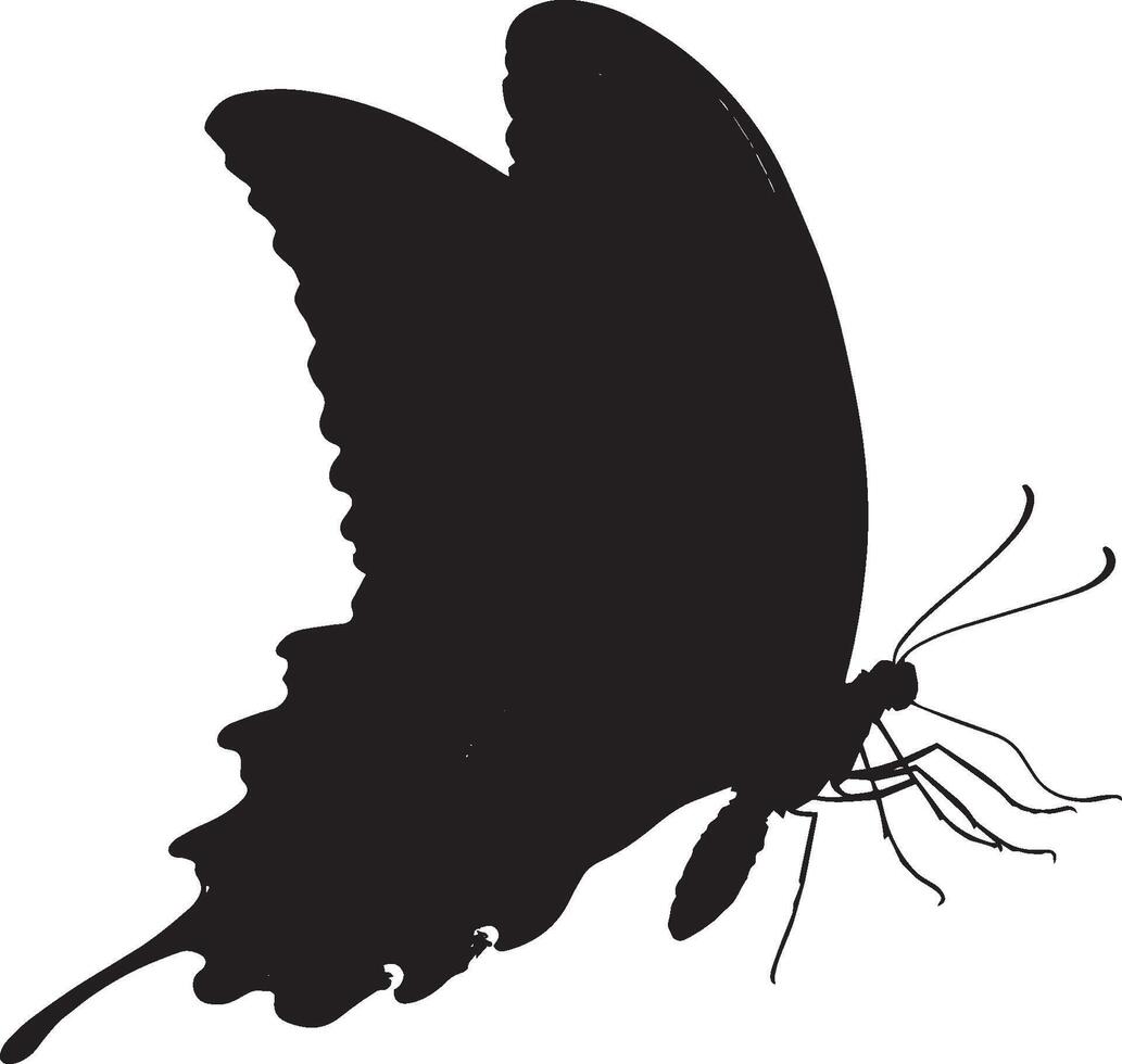 Butterfly Landing Body descending toward a surface with wings in a folded position ready to land. full length silhouette black illustration vector