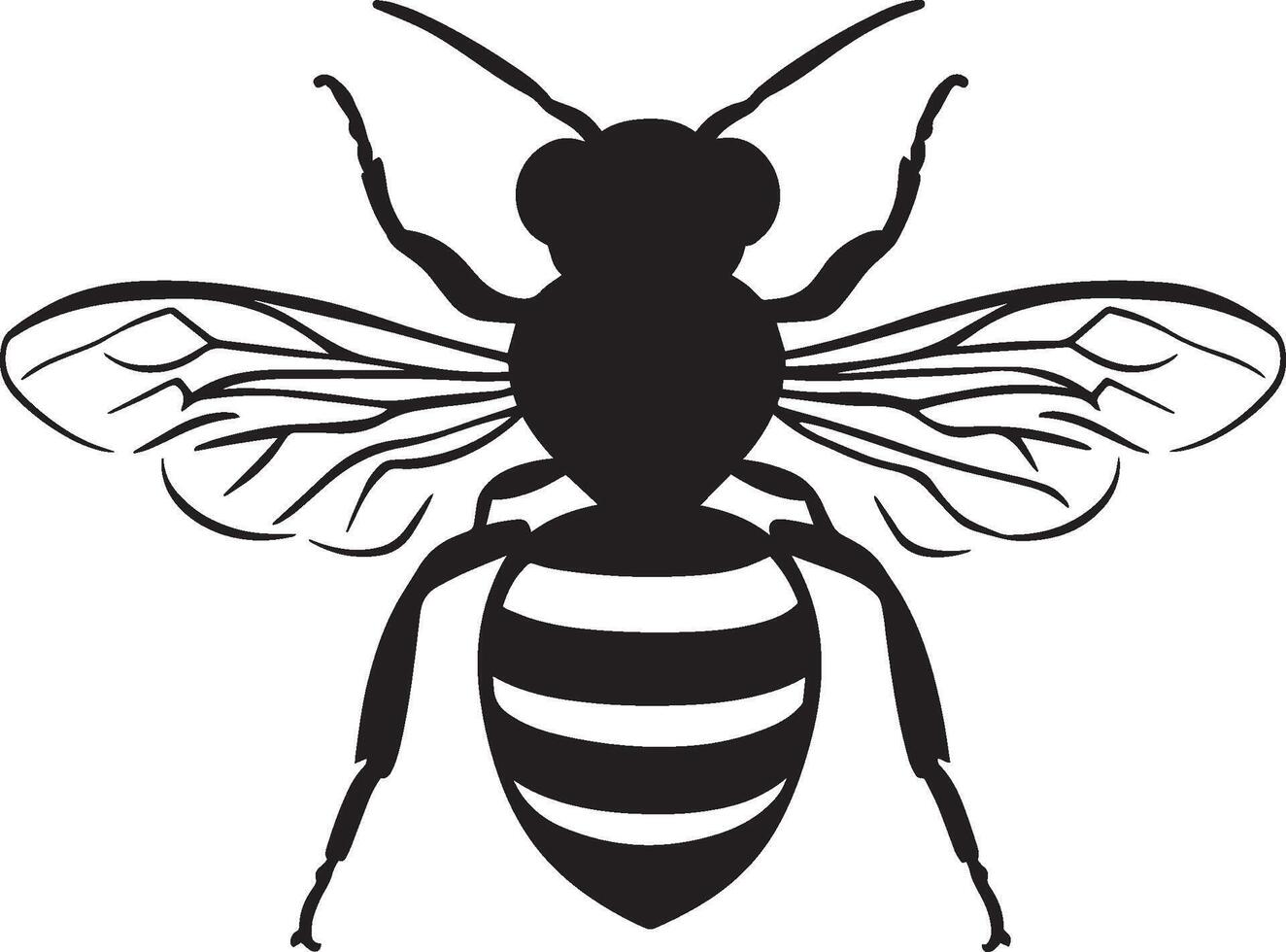 Bee Resting Body still on a surface or flower with wings folded and antennae relaxed. full length silhouette black illustration vector