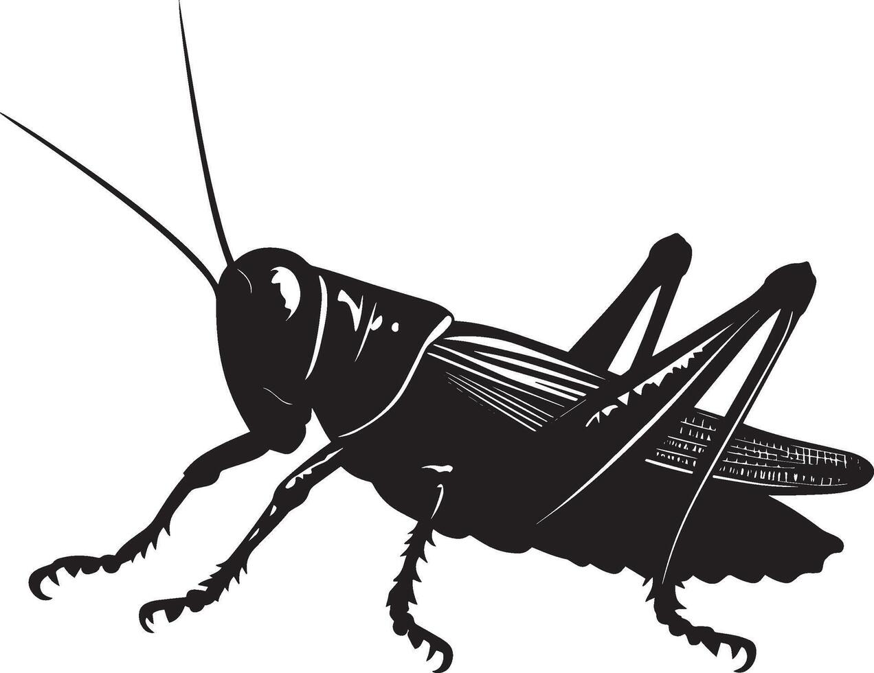 Grasshopper Perched Body sitting on a leaf or surface with legs tucked under and antennae extended forward. full length silhouette black illustration vector