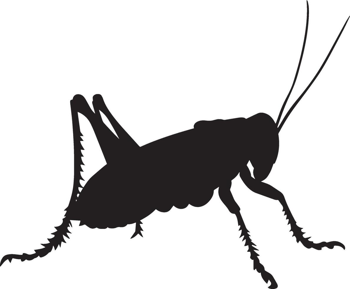 Grasshopper Standing Body upright on hind legs with front legs and antennae relaxed. full length silhouette black illustration vector
