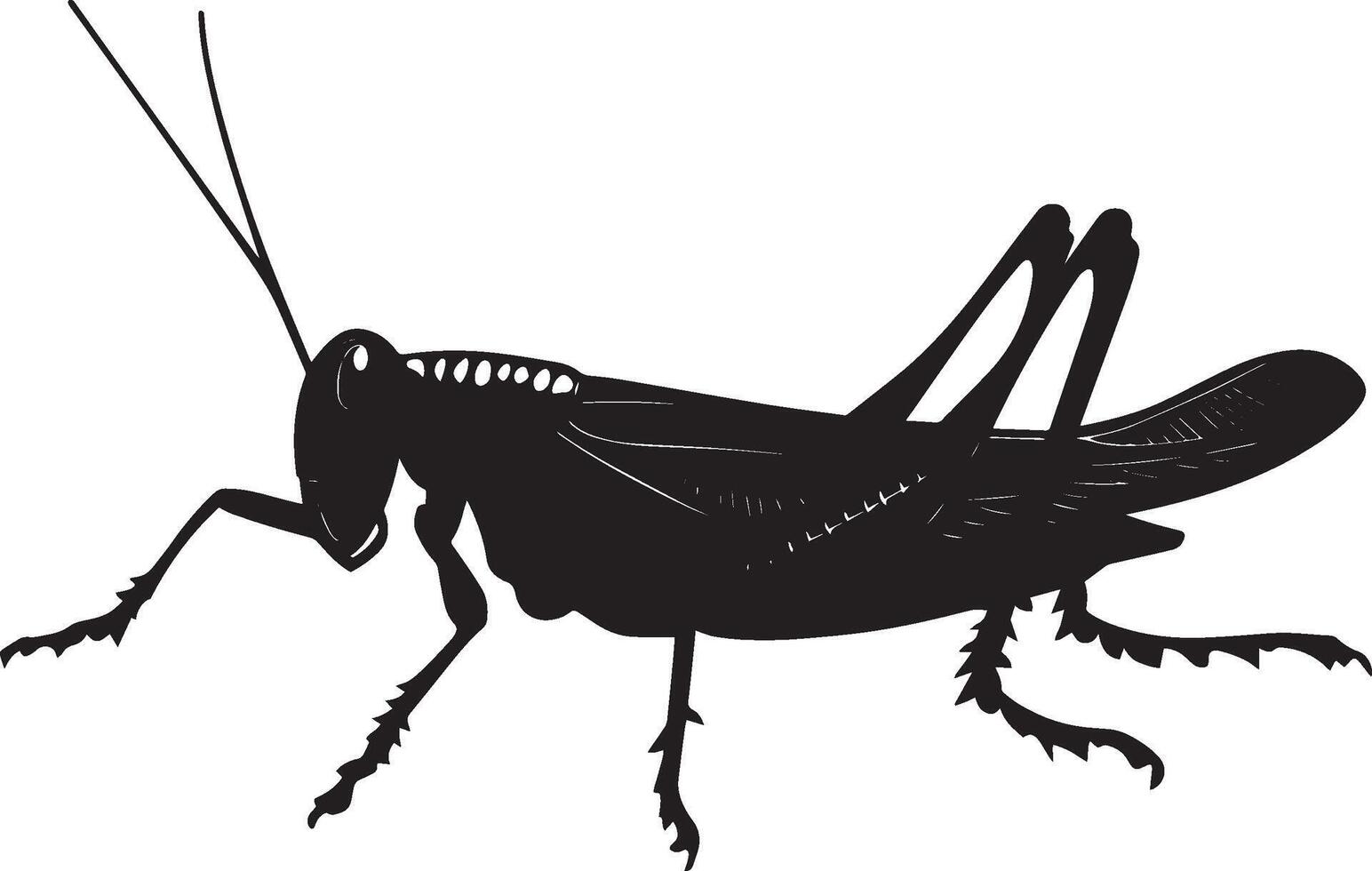 Grasshopper in Crawling Motion body positioned low to the ground with legs extended, moving in a rhythmic pattern. Full-length silhouette black design. vector