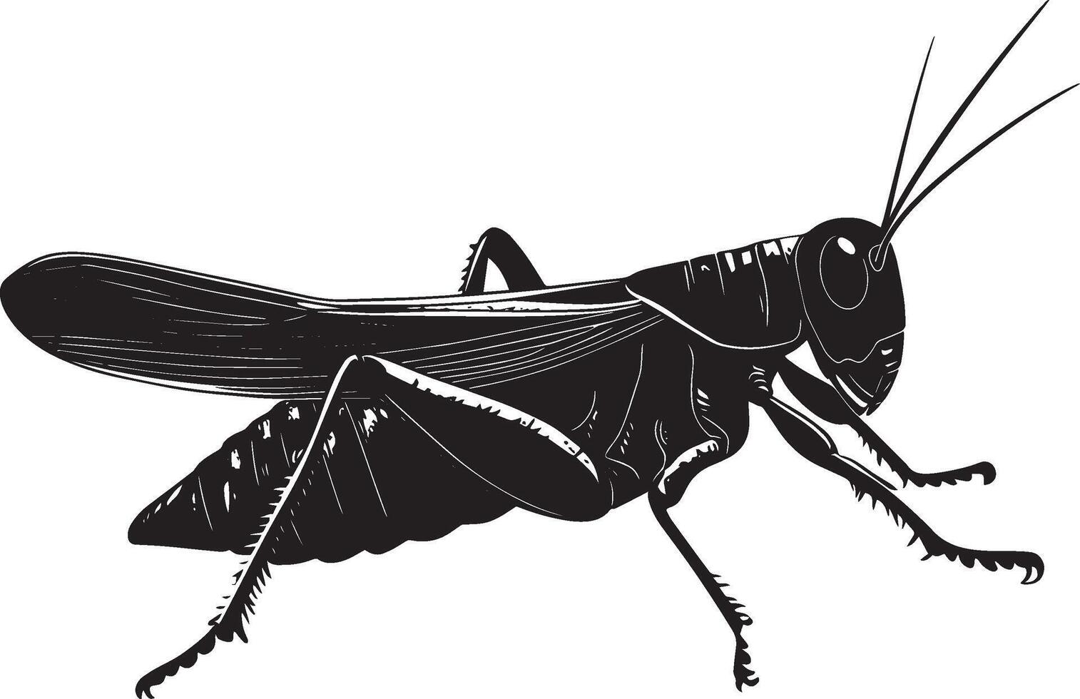 Grasshopper Resting Body still on a surface with legs tucked under and antennae relaxed. full length silhouette black illustration vector